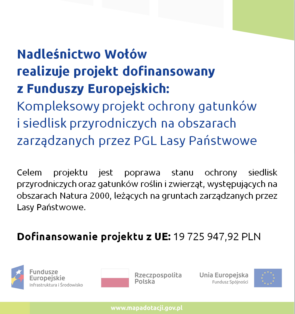 Nadleśnictwo Wołów realizuje projekt dofinansowany  z Funduszy Europejskich