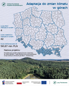 Lasy Państwowe: już w najbliższą niedzielę obchodzimy World Wetland Day, czyli Światowy Dzień Mokradeł!